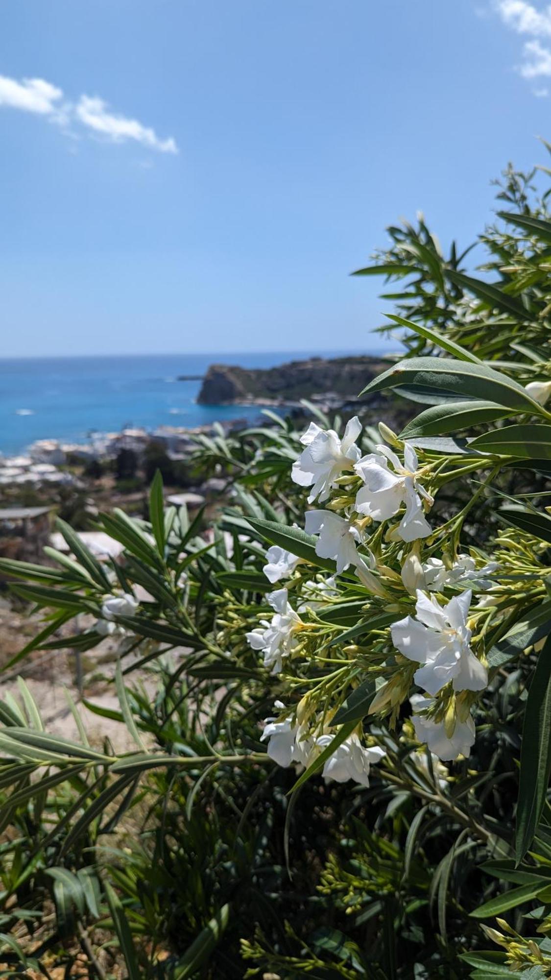 Casa vacanze Kira's Panoramic View